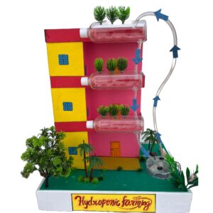 Komodo Craft Hydroponic Farming Working Model DIY kit for school science exhibition with water pump